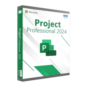 Microsoft Project Professional 2024